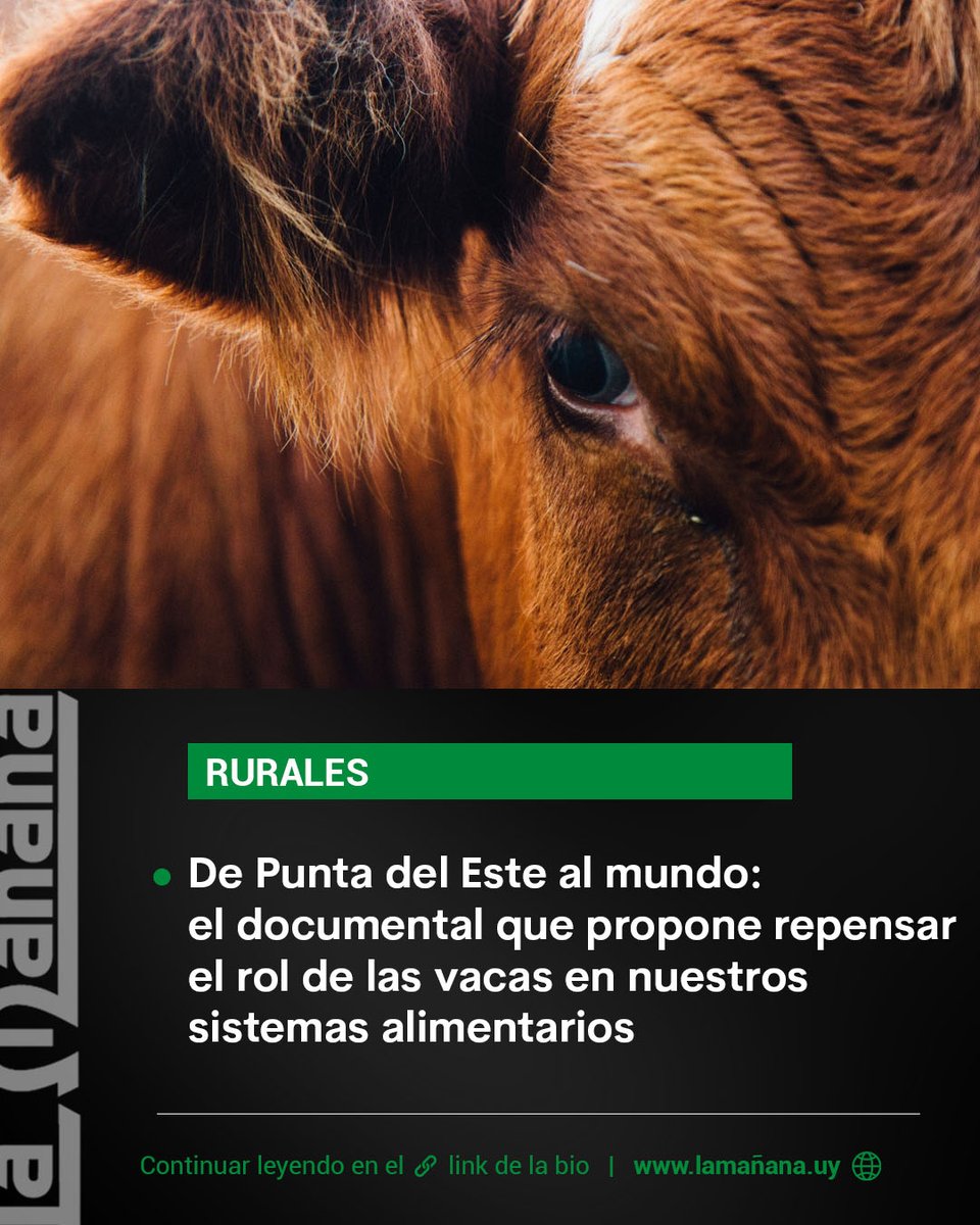 La Mañana Rurales tweet media