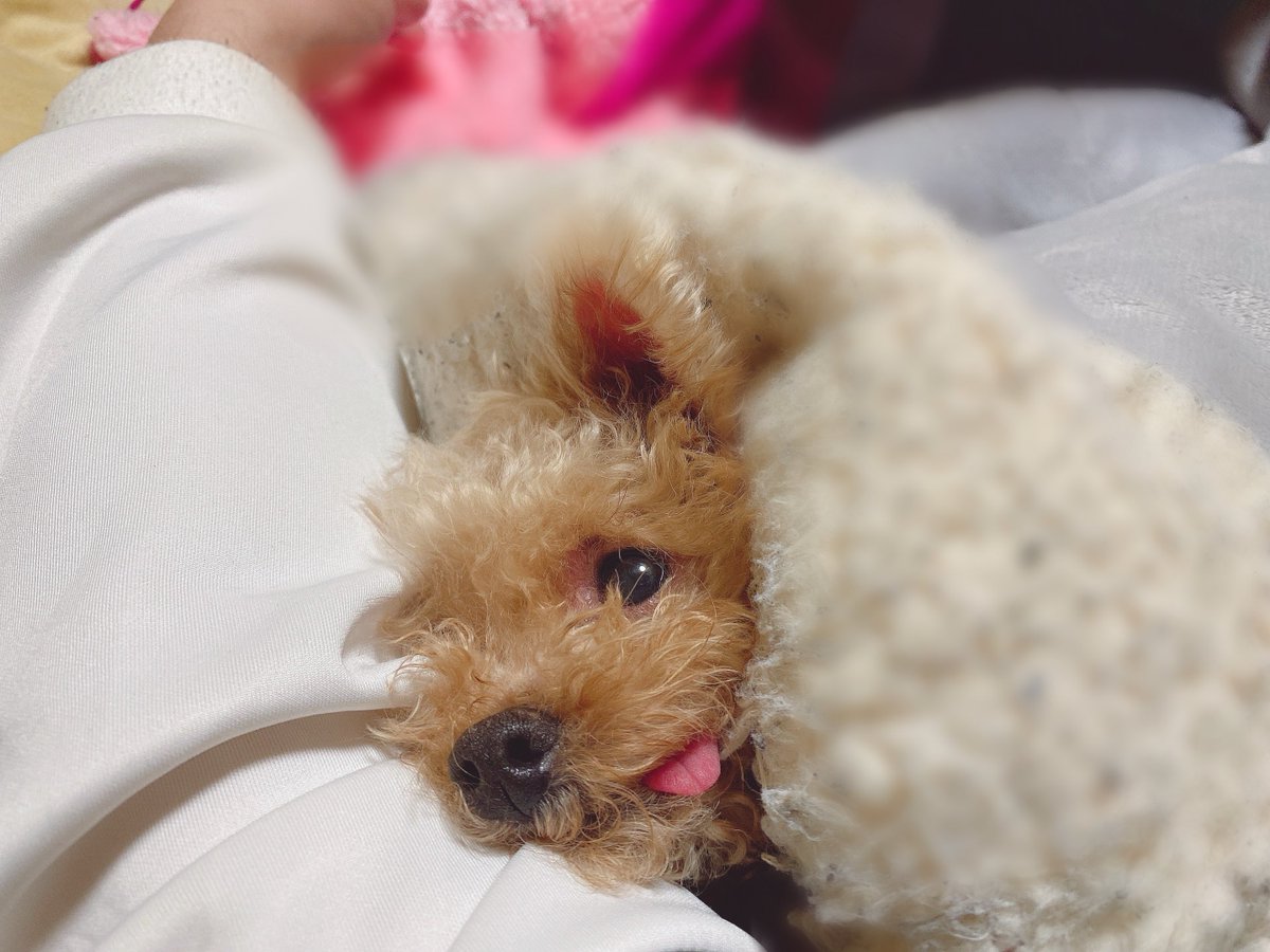 腕枕されて寝ているね