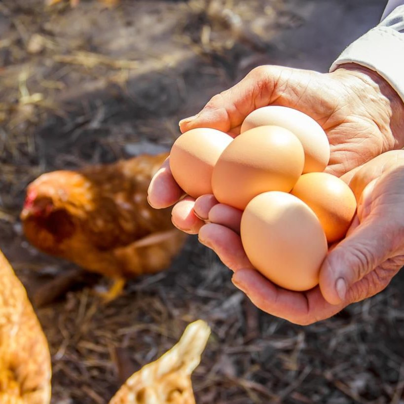 Boşuna Tıklama tweet media