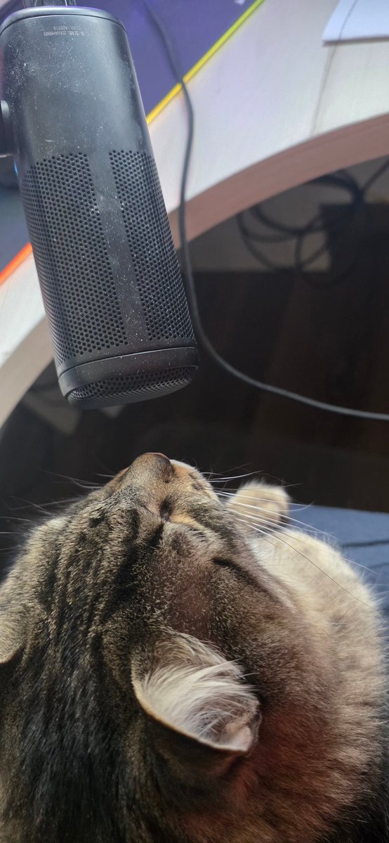 Empezamos directo el <a href="/kickespanol/">KICK Español</a> ahora que mi gato termine el podcast
kick.com/charlyduc