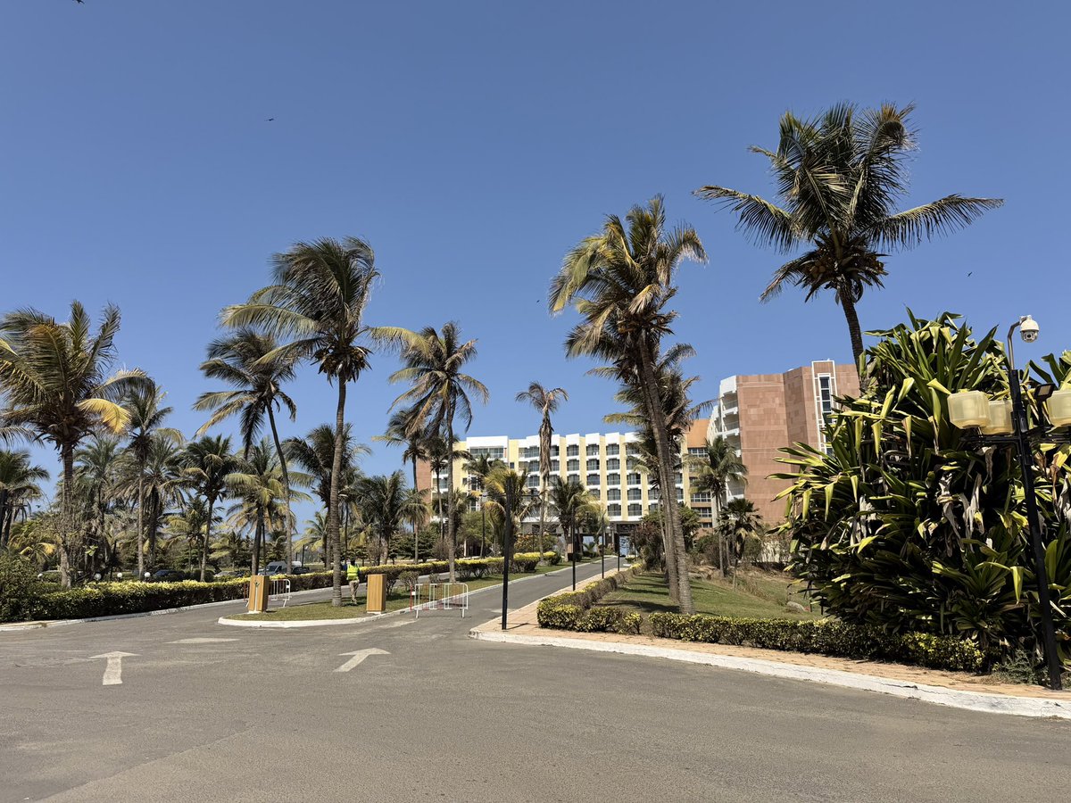 シンヨ / Shinyo tweet media