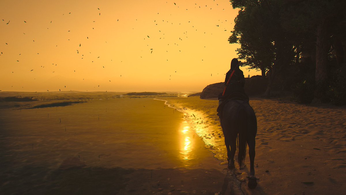 Andrii Petrunia tweet media