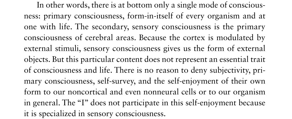 Jacques 羅漢 tweet media