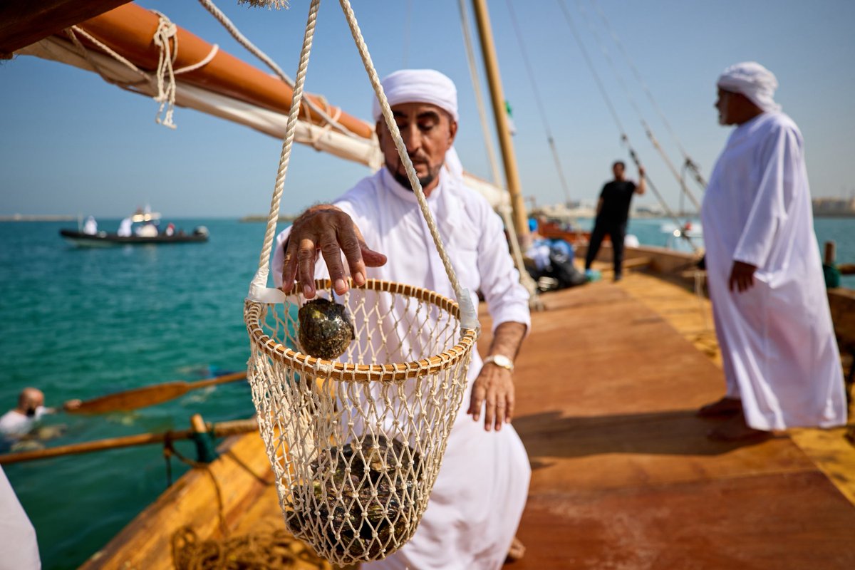 نادى ابوظبي للرياضات البحرية tweet media