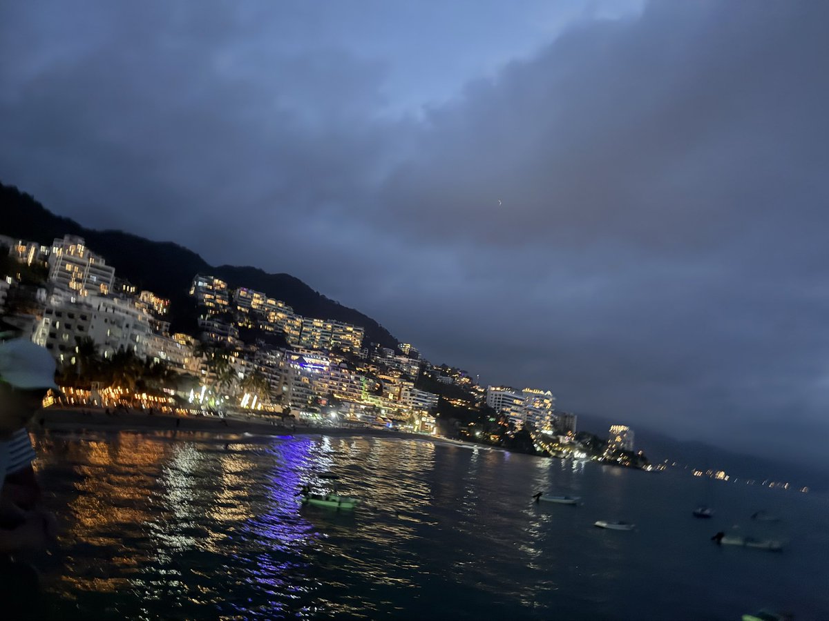 cat heifner tweet media