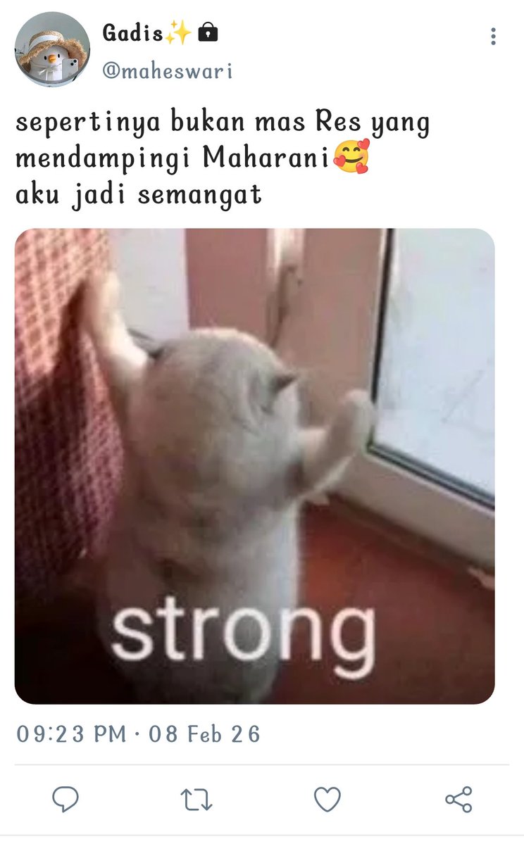 color_code tweet media