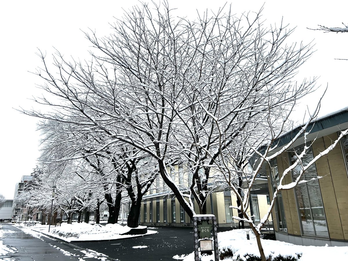 azabukankyo's tweet photo. 2026年2月8日❄️ https://t.co/crcX012zEo