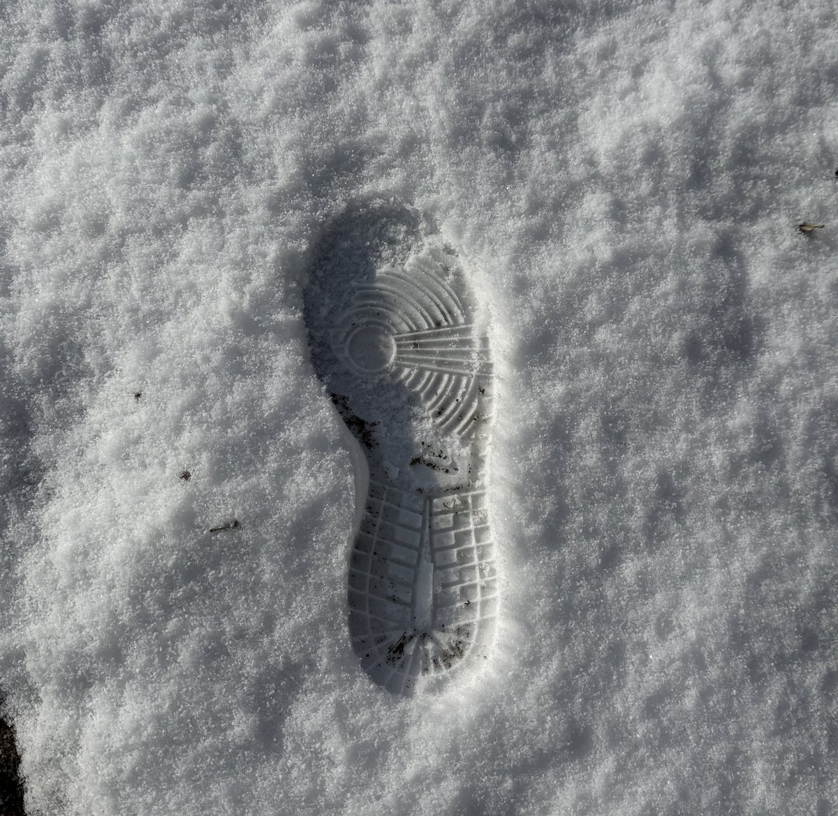 誰も踏んでなさそうな雪踏んでみた❄️
ザクってしてて楽しかったな、寒すぎたけど