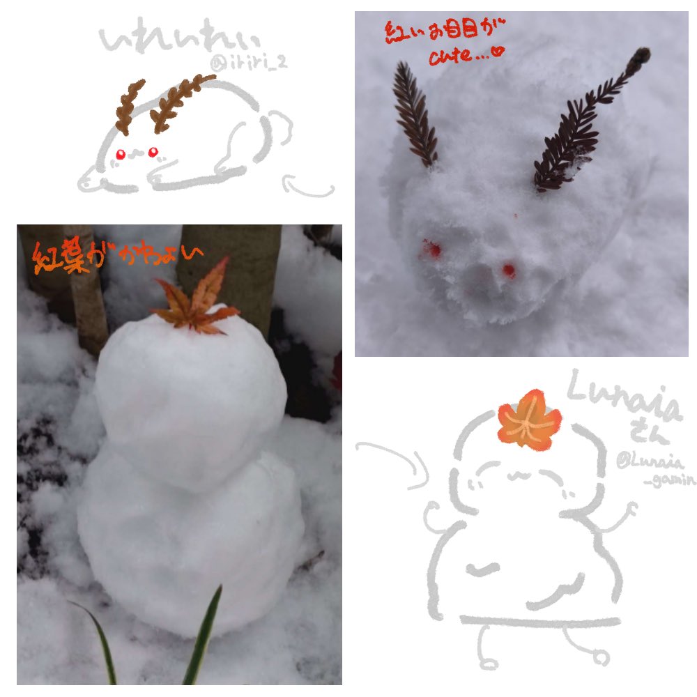 写真見せてくれた子のゆきんこちゃん達