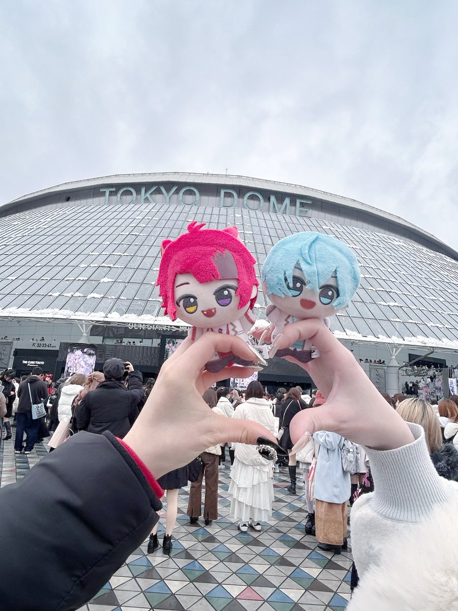 りく tweet media
