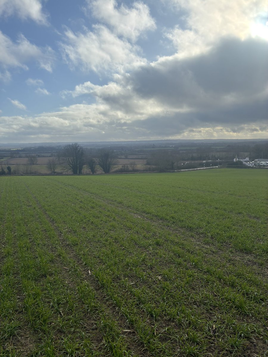 DJLAgriculture's tweet image. The @toyota Pro ace Van coming in handy for some further away Sampling jobs this week saving ⛽️ costs 💰 #soil #sampling #lastweek 

📍 Luton 📍 Stevenage 📍 Doncaster 📍 Grimsby