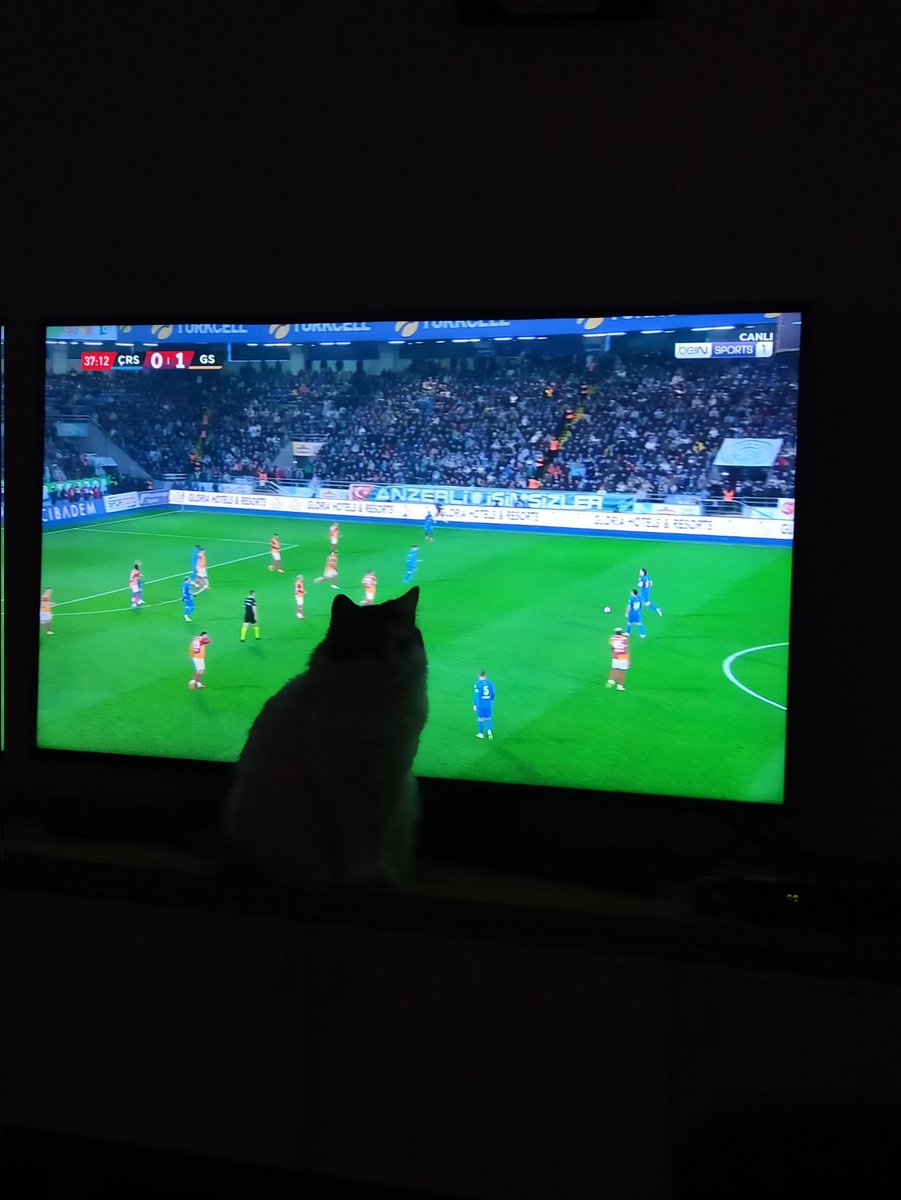 Yayında problem var.İlgilenir misiniz lütfen <a href="/beINSPORTS_TR/">beIN SPORTS Türkiye</a>