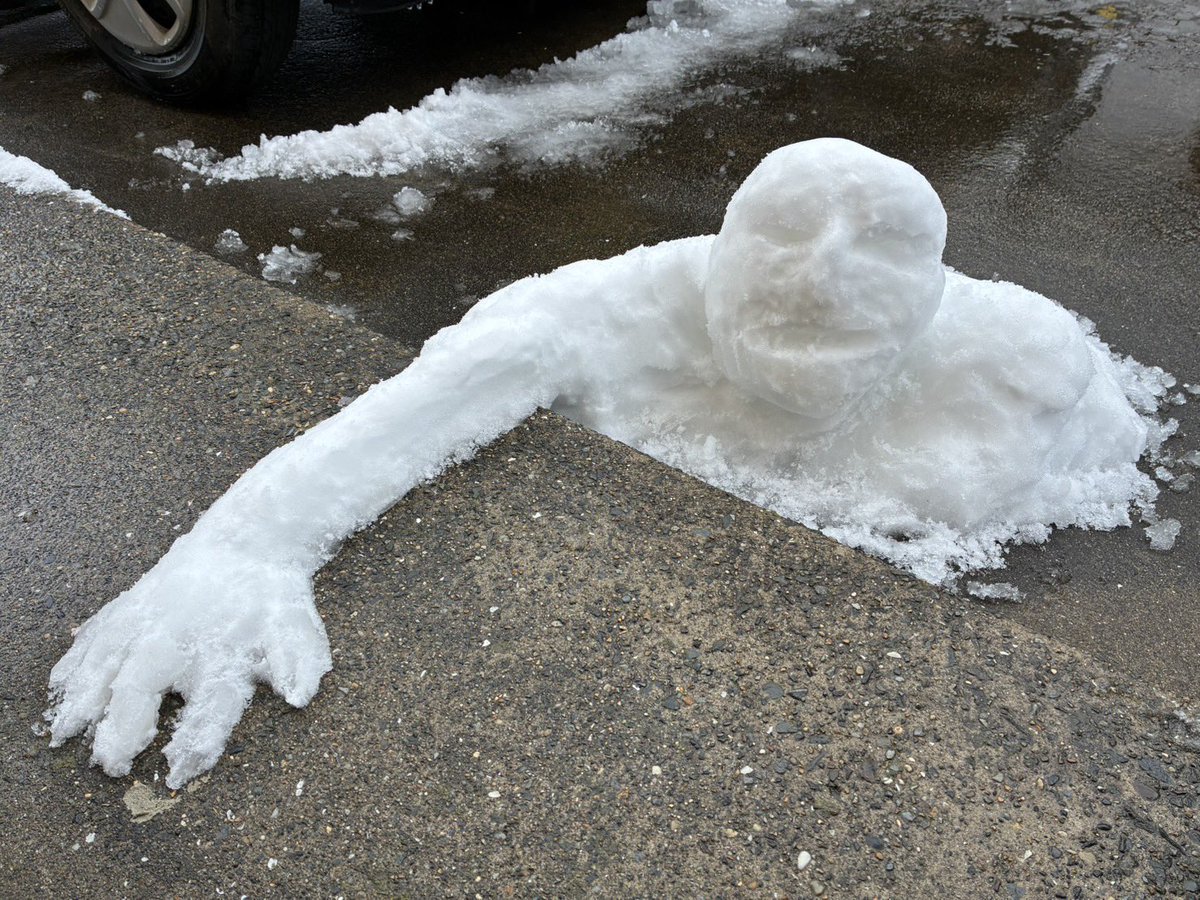 🫟フジシロアヤ｜FUJISIRO AYA🫟 (@emerald_cats3y3) / Posts / X