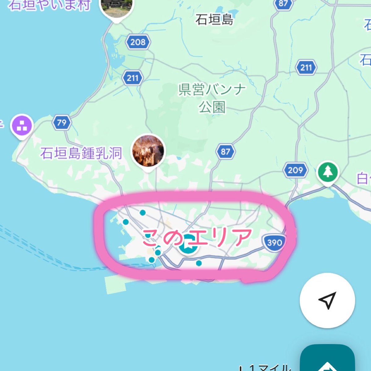 とわこ☁️無事満了♡ tweet media