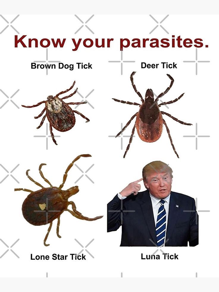 <a href="/EdKrassen/">Ed Krassenstein</a>