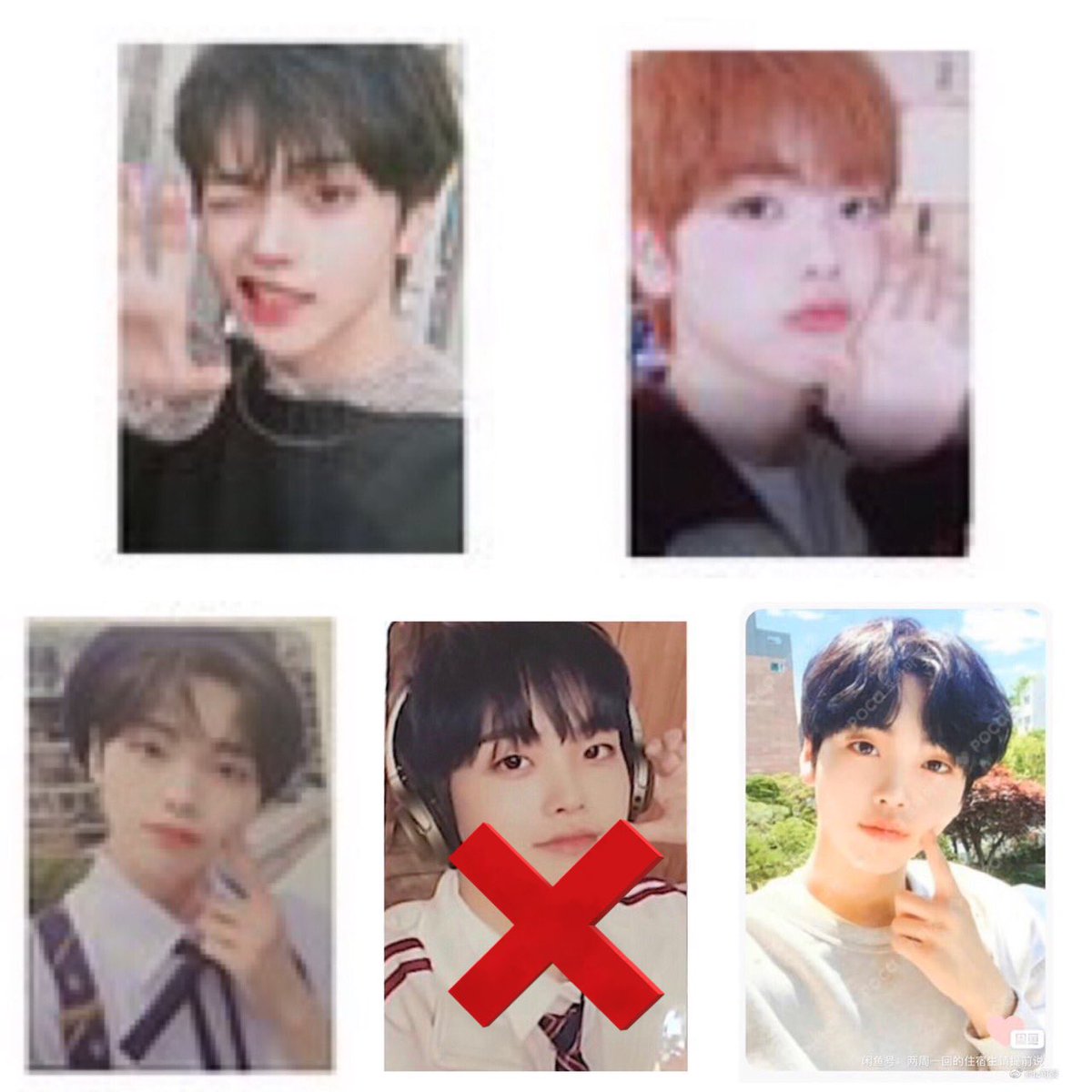 🍋🐹 tweet media