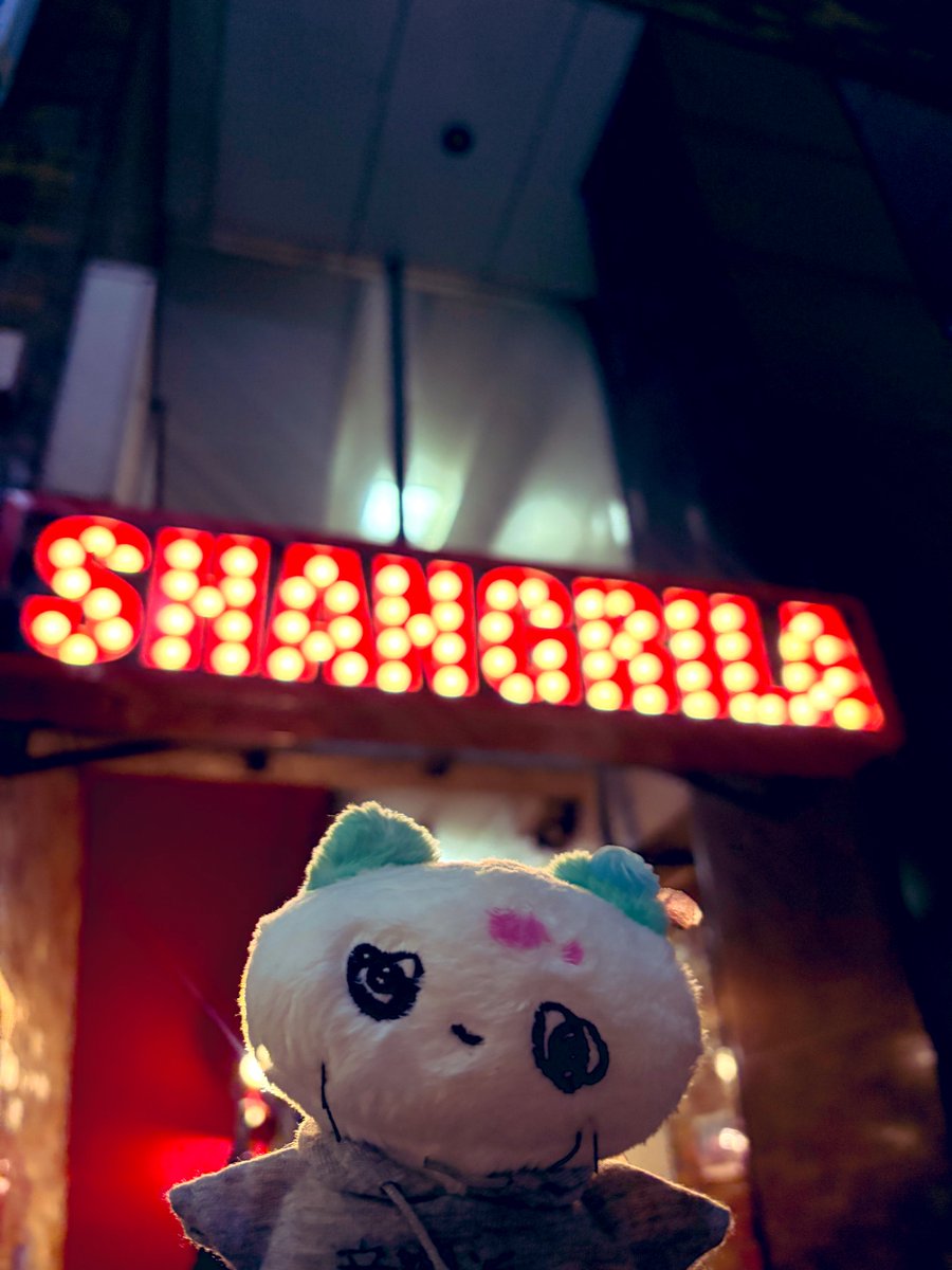 写真あげてなかったけどフリーダイヤルも行っていた　2枚目はなんかどやどやしててかわいいから見てほしいねこちゃんです