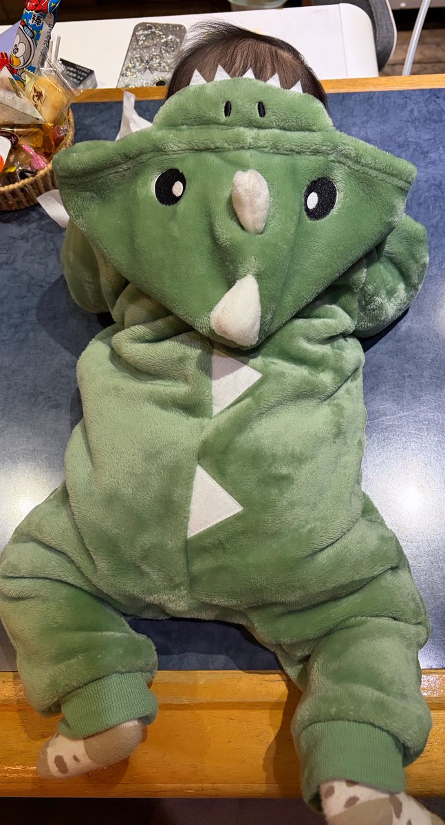 wc0a_s's tweet photo. ･

おちび5ヶ月なったでし🐻

女の子なのにうちの趣味で恐竜🦖⋆͛⋆͛

結婚･出産でここ2、3年推し活全然できてないけど愛は変わらないよ🥹💖

･ https://t.co/FYQf5h2CHP