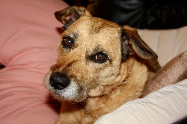 Jackie Pluck 🏎️ tweet media