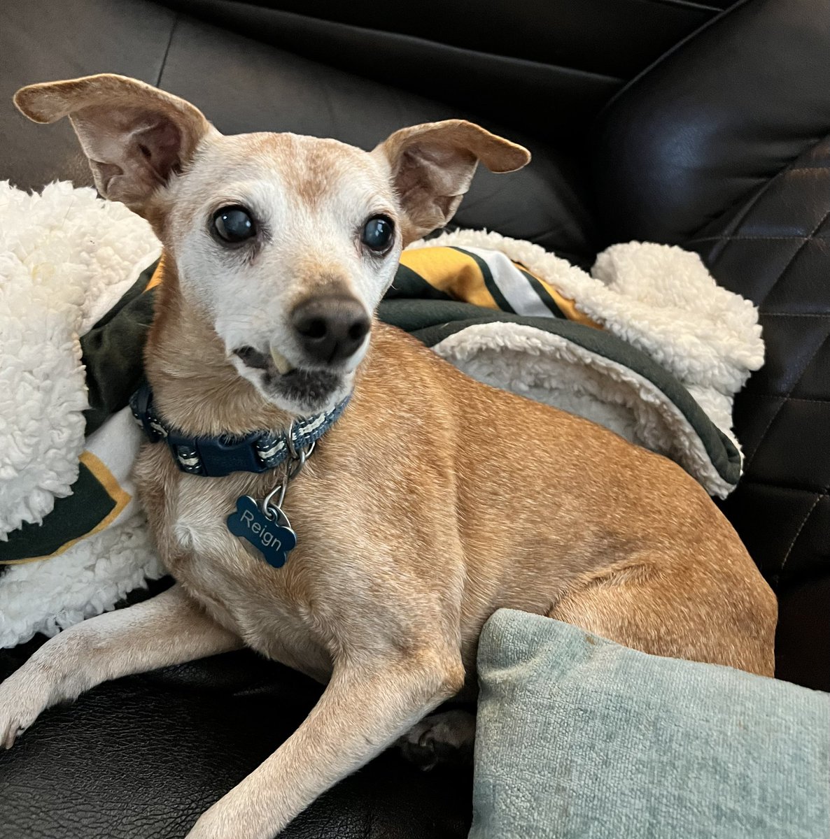 American RN tweet media