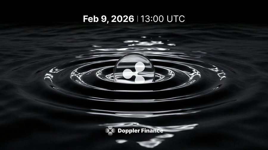 小捕手 Chaos🦅 tweet media