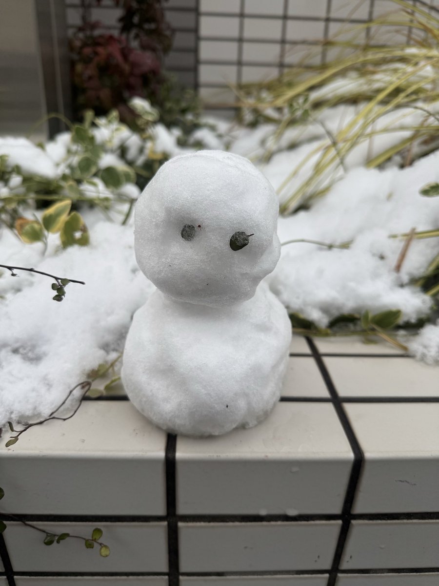kankojipapa's tweet photo. 寒かったね⛄️✨
選挙にママ👵と行ったらこの子と遭遇♥️
#雪だるま
#選挙
#japan
#gogowest
#コロム https://t.co/zzcjvMIuQ5