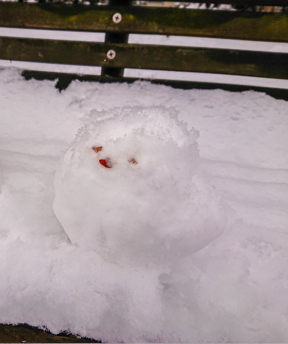 rekodaisy's tweet photo. すぐ溶けてしまう関東の雪。
今週は少し気温が上がるみたいだから、最後かもしれないの冬の寒さを堪能。
気づいたら1.5時間程遊んでた。
雪玉も軽いほどサラサラな雪。
梅×雪。シマエナガもどきは公園で作ってベランダに持ち帰り(笑) https://t.co/mMBAFzmXTV