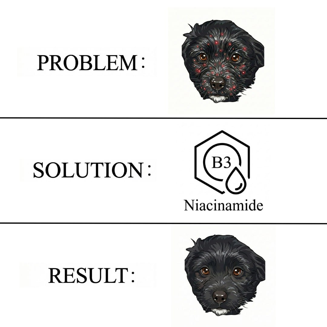 DermaDAO tweet media