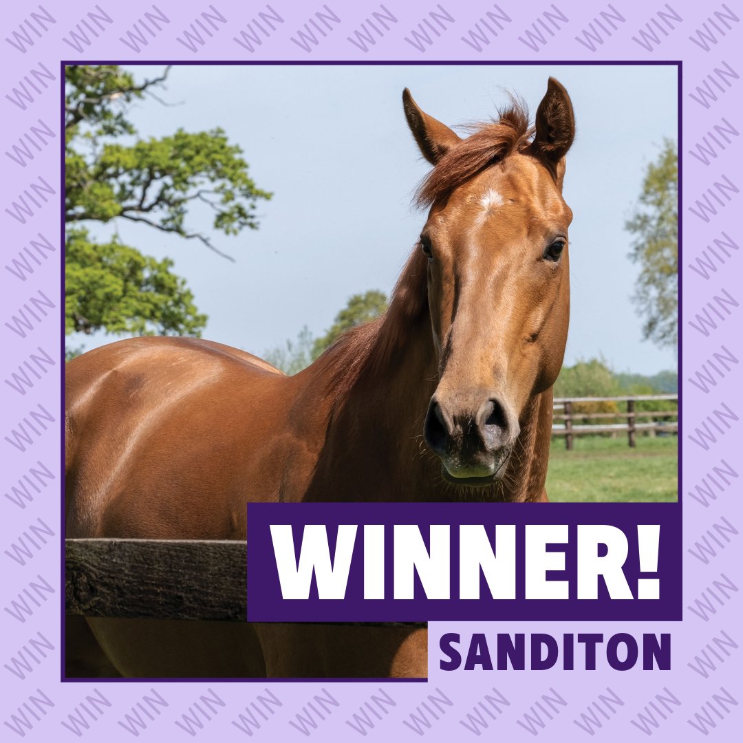 Sanditon gets off the mark at Chelmsford for Charlie Johnston, Callum Shepherd and his Owners Group owners. Richly deserved after some close calls in recent runs! Well done to all.