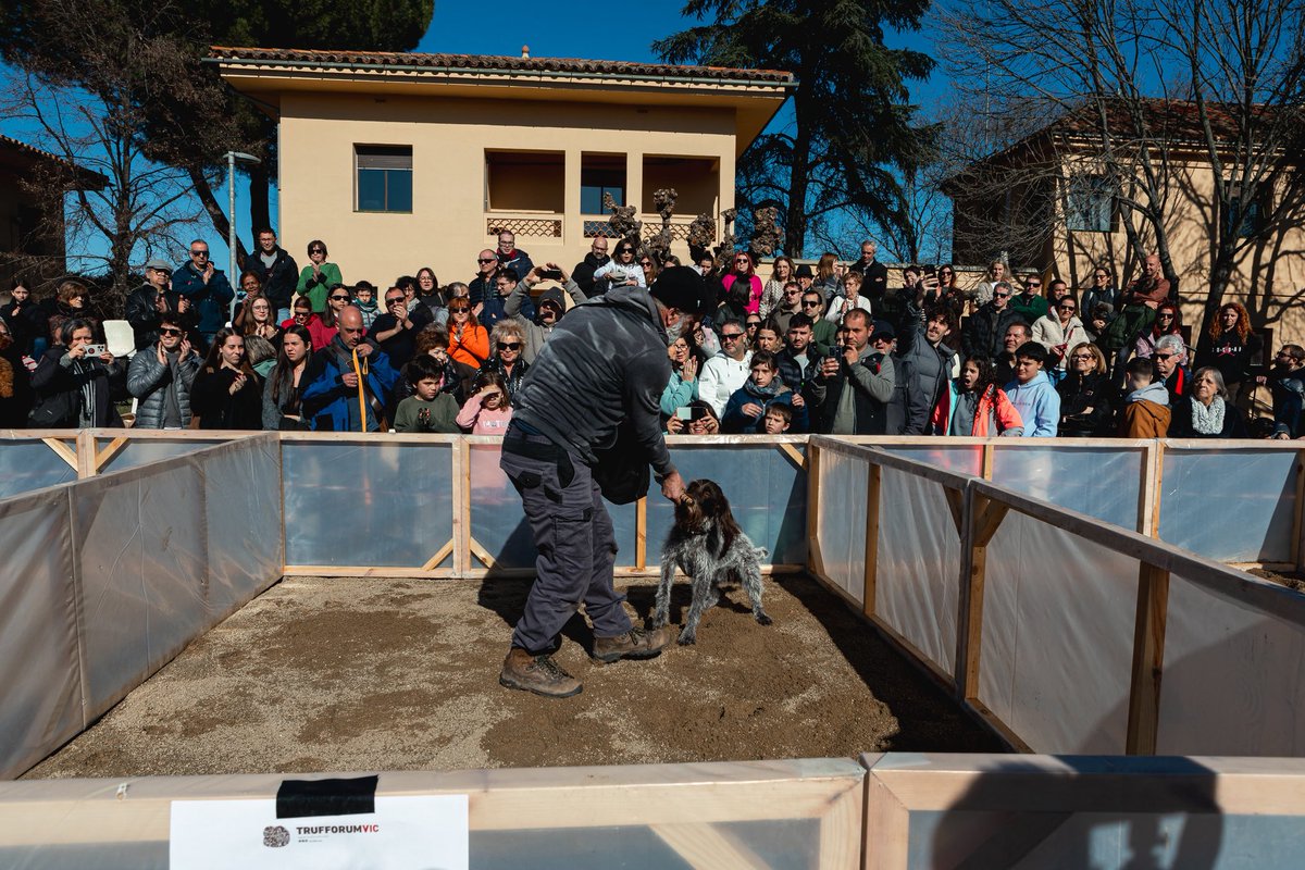 Trufforum_Vic's tweet photo. Campionat de Catalunya de Gossos Tofonaires · 7a edició 🐶🥳

🥇 1r: Maika - Enric Carbó 
🥈 2n: Queen - Òscar Beltran 
🥉 3r: Cueva - Raúl de la Morena 

Moltes felicitats a tots els equips participants, i especialment als guanyadors per aquest gran resultat! 🥰🐾 https://t.co/bosGZ0taWp