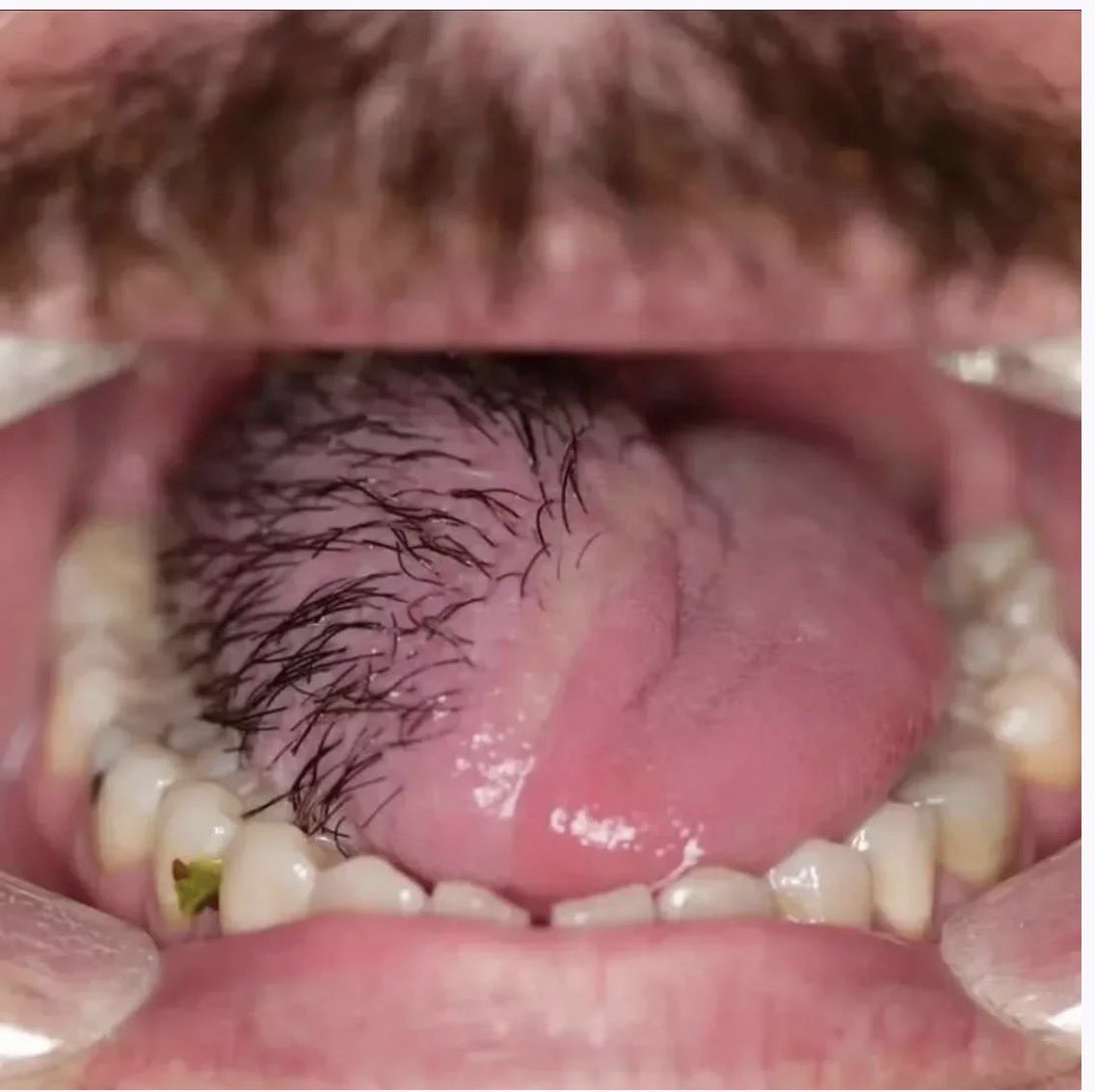 SAGE MEDICAL⚕️ tweet media