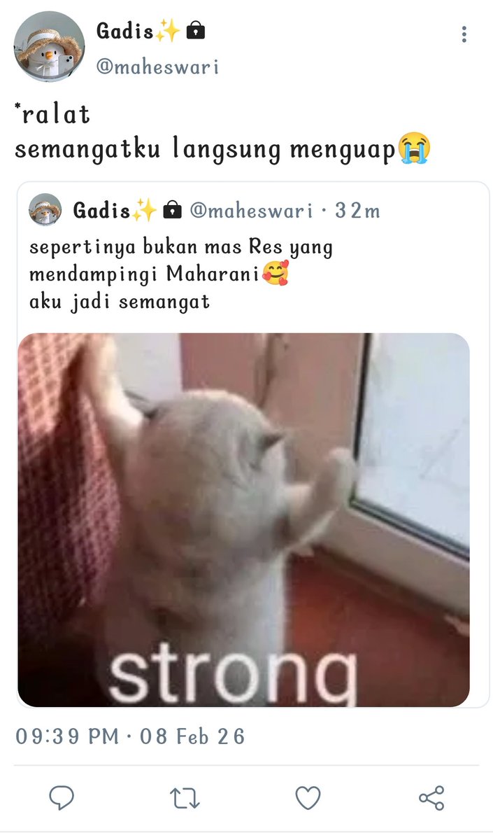 color_code tweet media