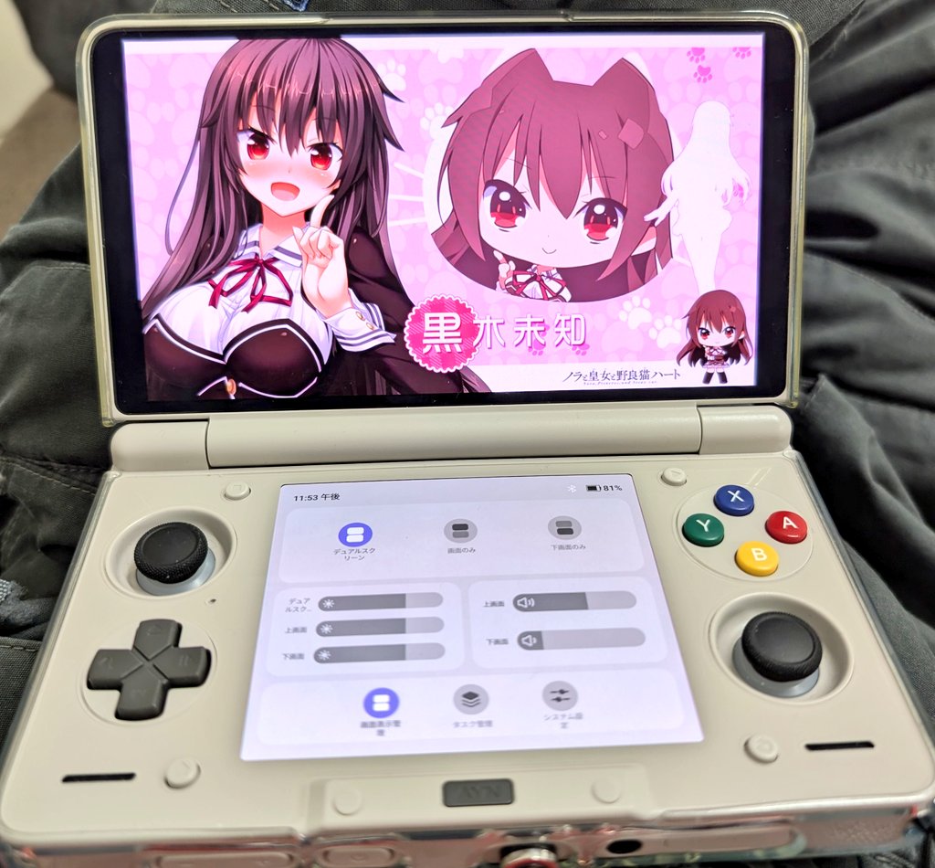 ゲームき きゅーさん (@sou1042tzk) / Posts / X