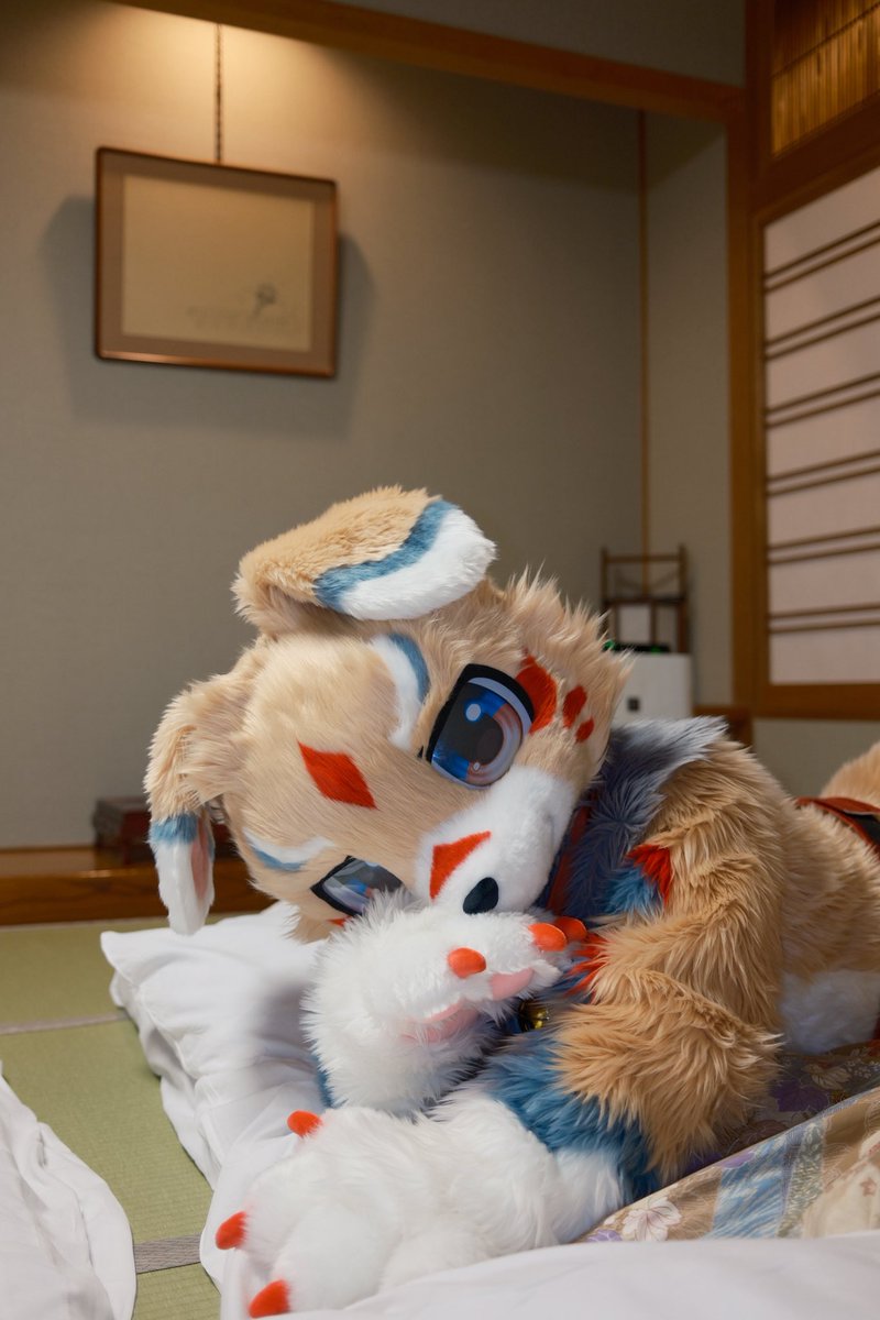 方方（FukuRa） tweet media