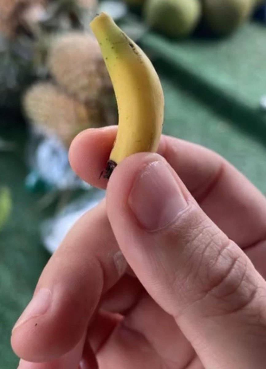 🤏🏻🤏🏻🤏🏻🤏🏻🤏🏻🤏🏻🤏🏻🤏🏻🤏🏻🤏🏻