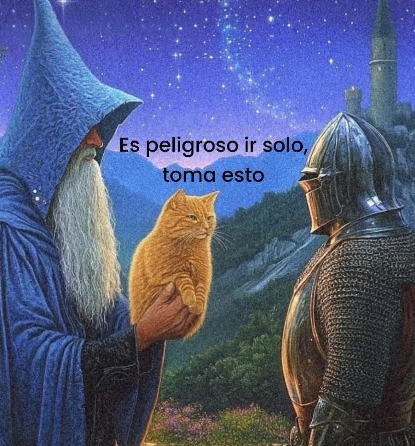 Dilo con gatitoz (@dilocongatitoz) on Twitter photo 