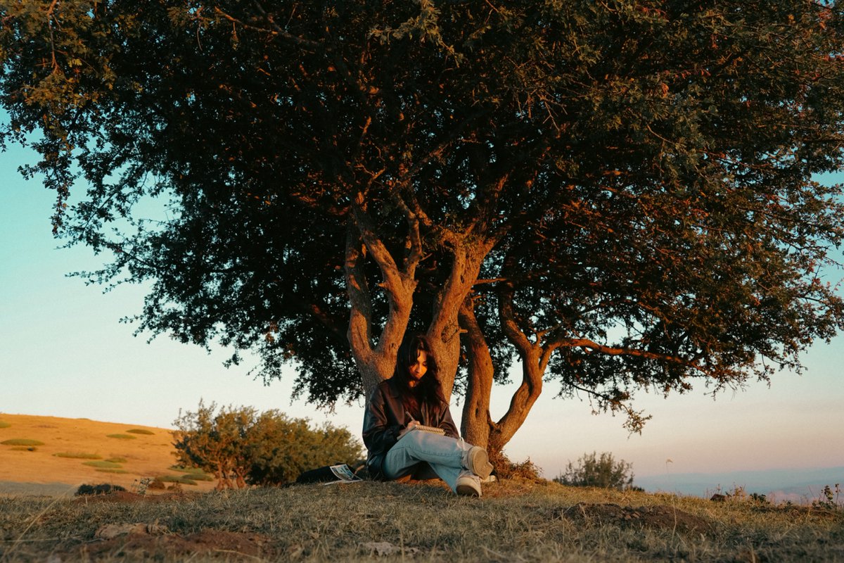 Koca ağaçla çok sevdiğim o fotoğrafım