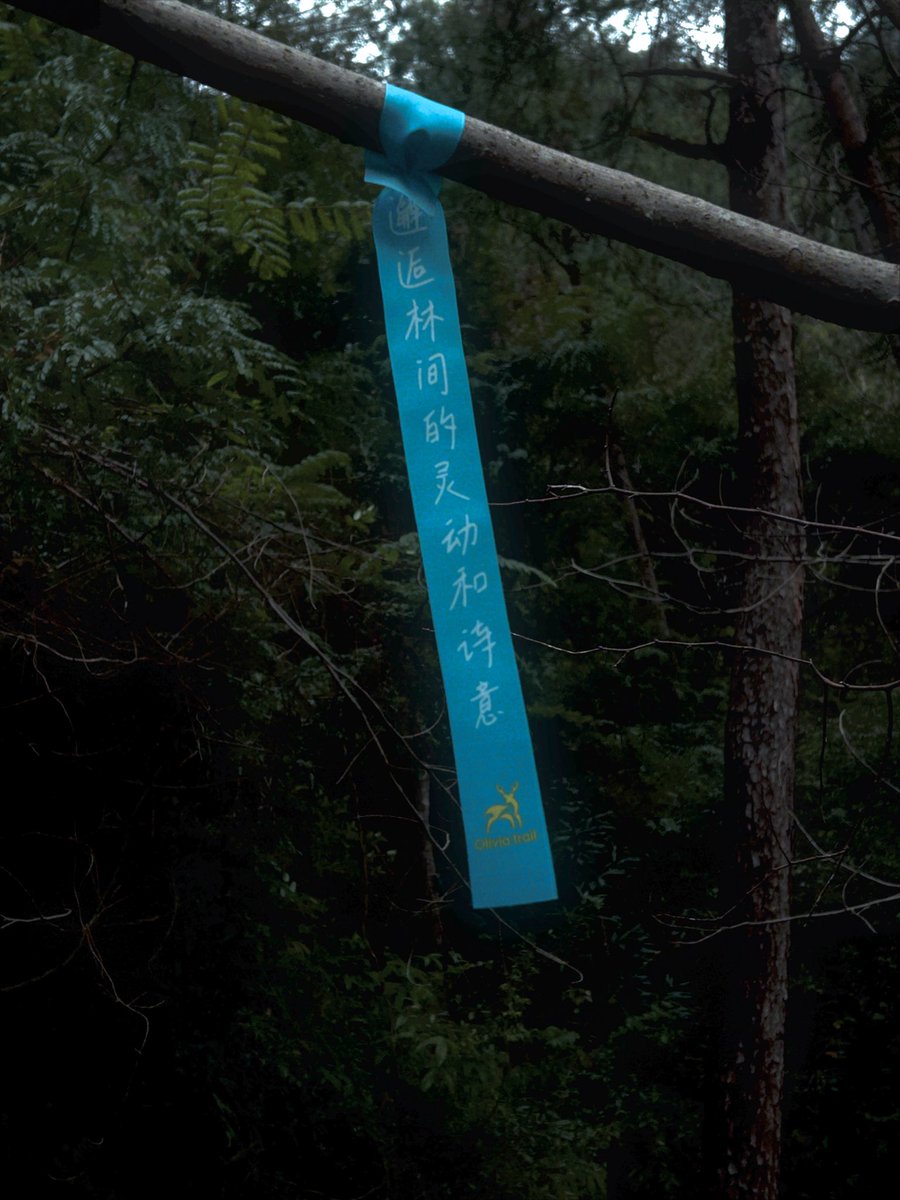 sweetballs tweet media