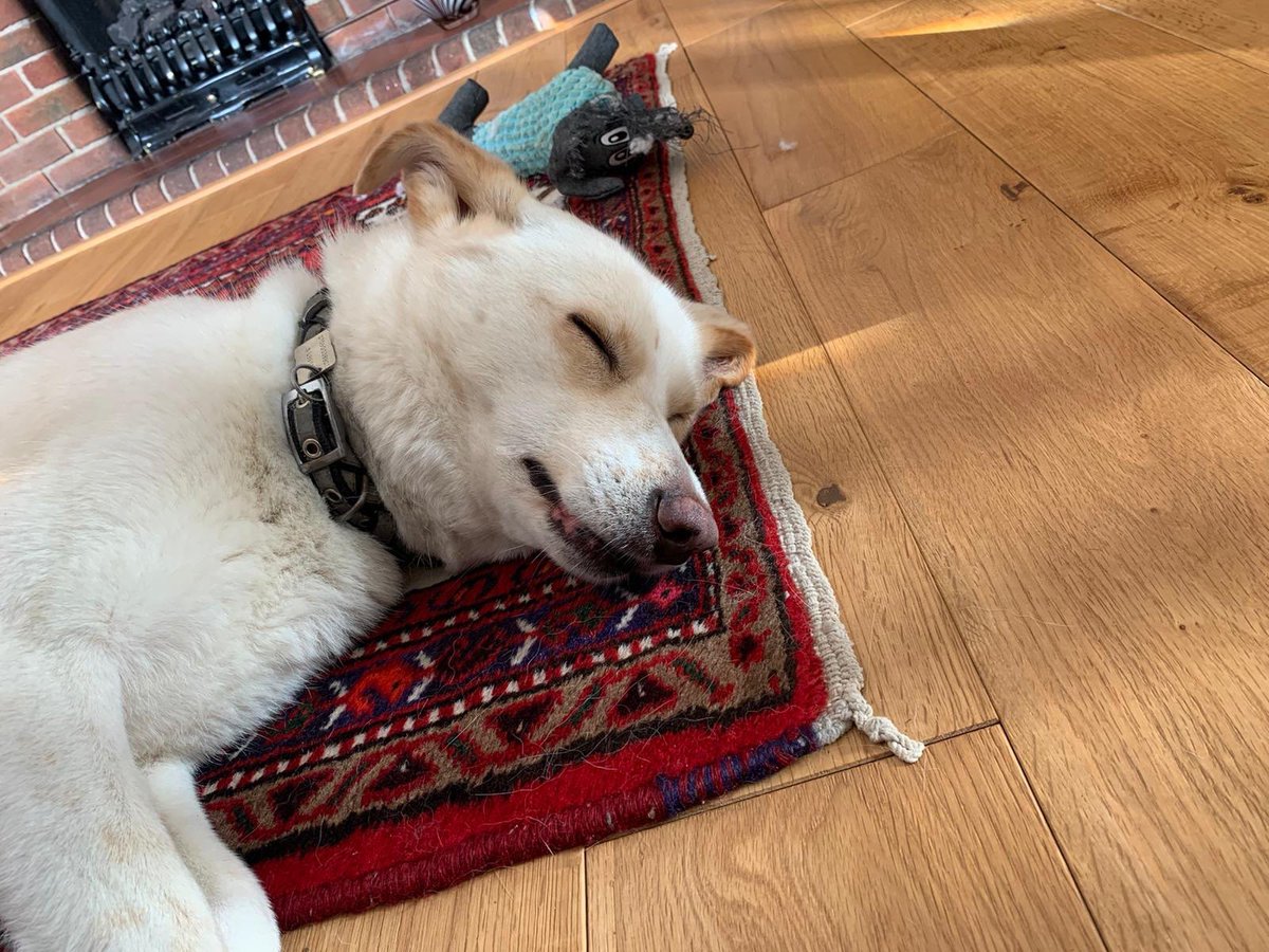 Nick Miller tweet media