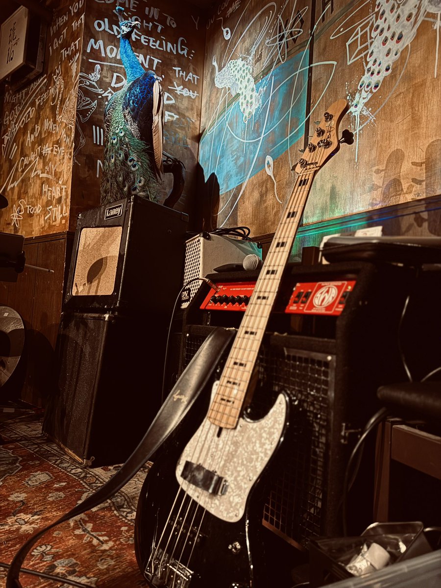 yoshiA__n's tweet photo. 本日のLIVE♪
ATAGAN at琥珀

広角で撮っても４人おさまらないほど
近すぎ神席にて ＃atagan  浴びる幸せ
手を伸ばせばピアノ連弾できちゃうょ😆

#枯山水 https://t.co/kE1oL5vdap