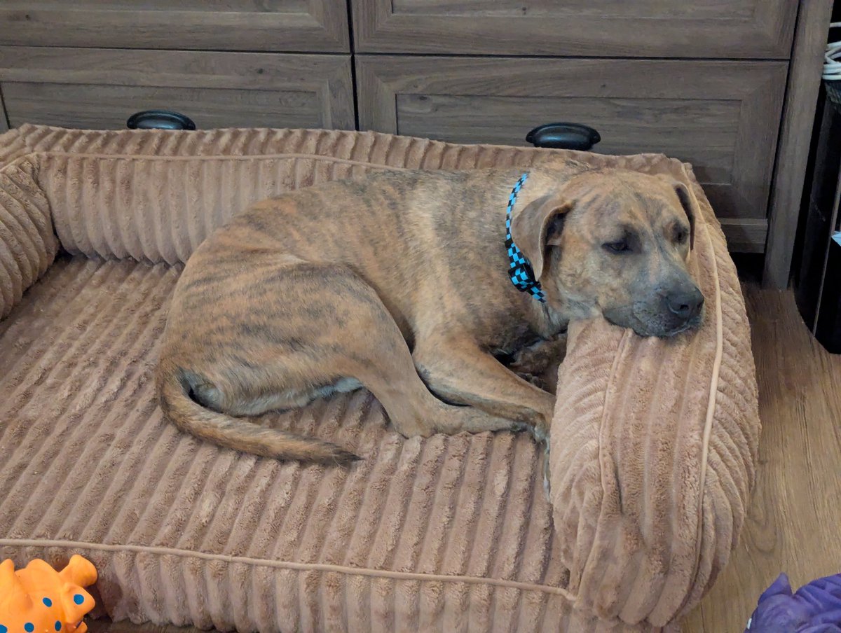 Randomobsessor tweet media