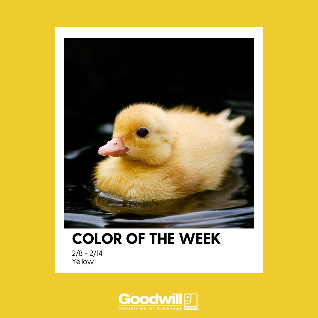 Goodwill Arkansas tweet media