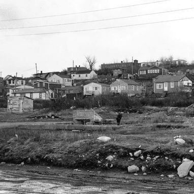 Craig Baird - Canadian History Ehx tweet media