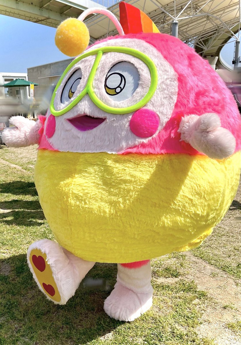 たぬちゃん (@tamuchanpon) / Posts / X