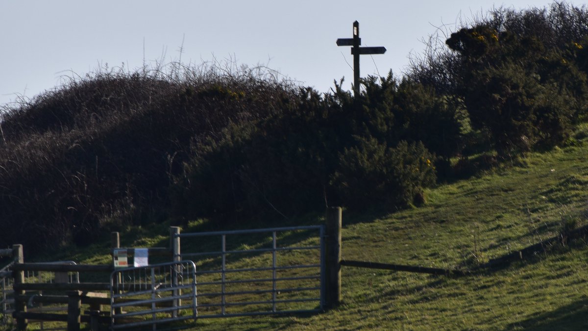 Rob Pike tweet media