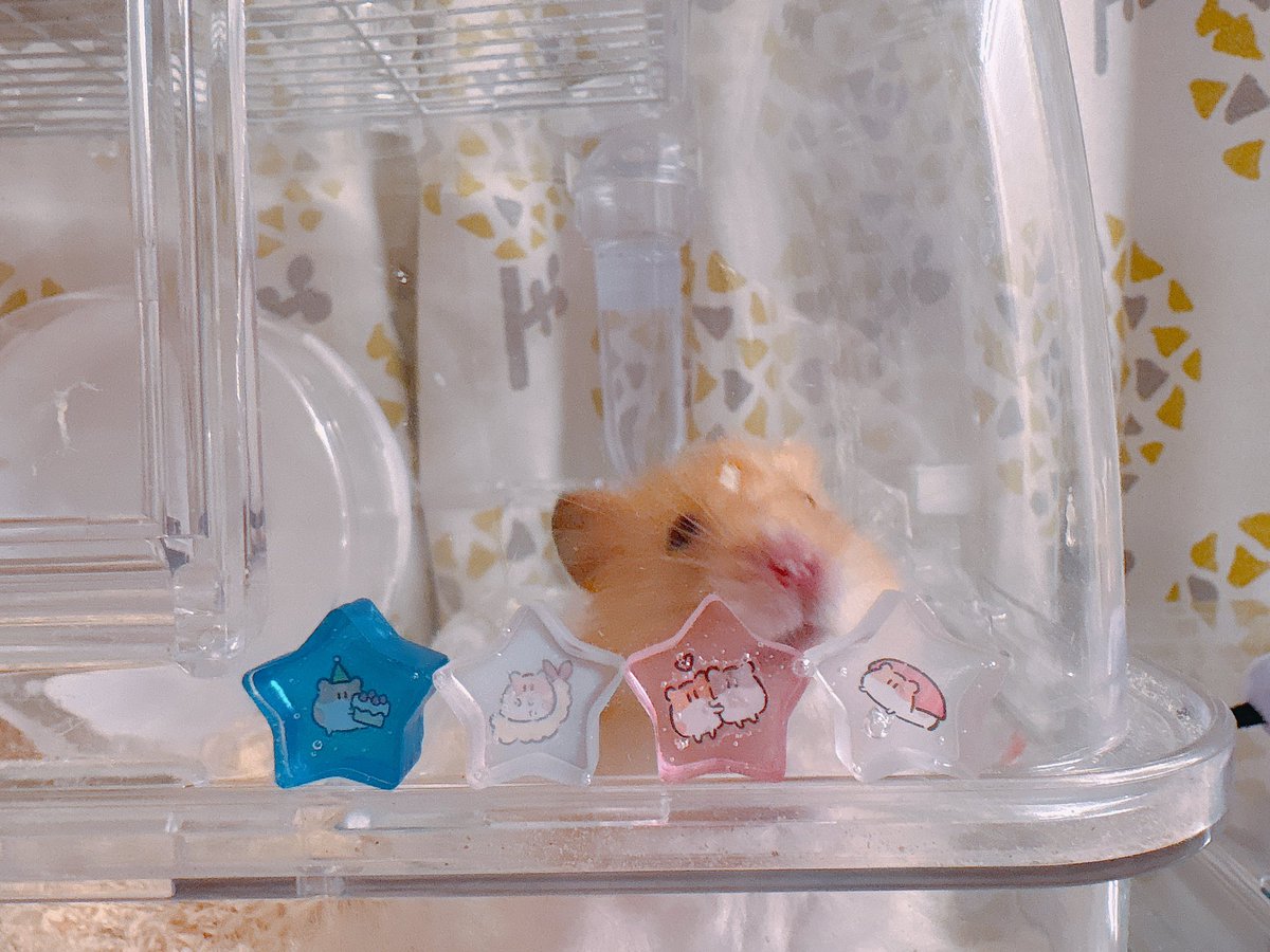 とりあえずここにかざってみたよ