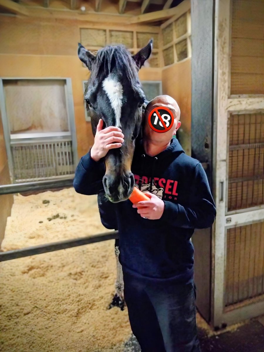 シトリン (@PKjvz) / Posts / X