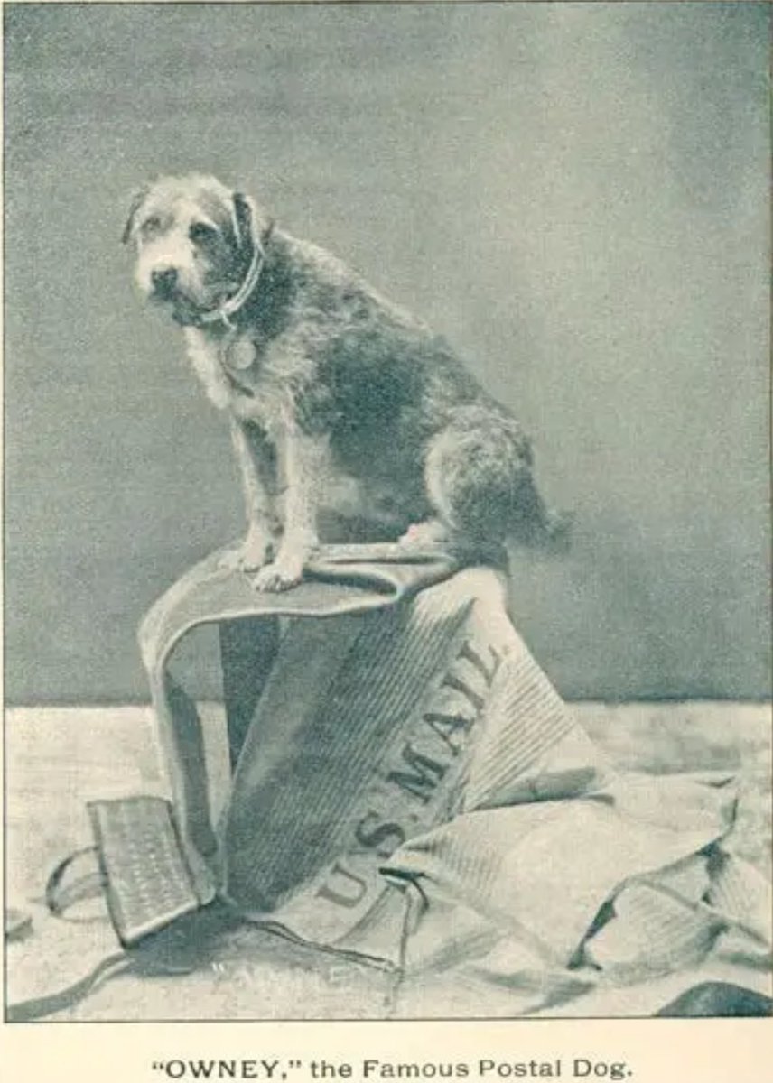 In every cycle, attention chases novelty.
Value accumulates around what keeps working when novelty wears off.
<a href="/OwneyCoin/">Owney the Postal Dog 🐾</a>