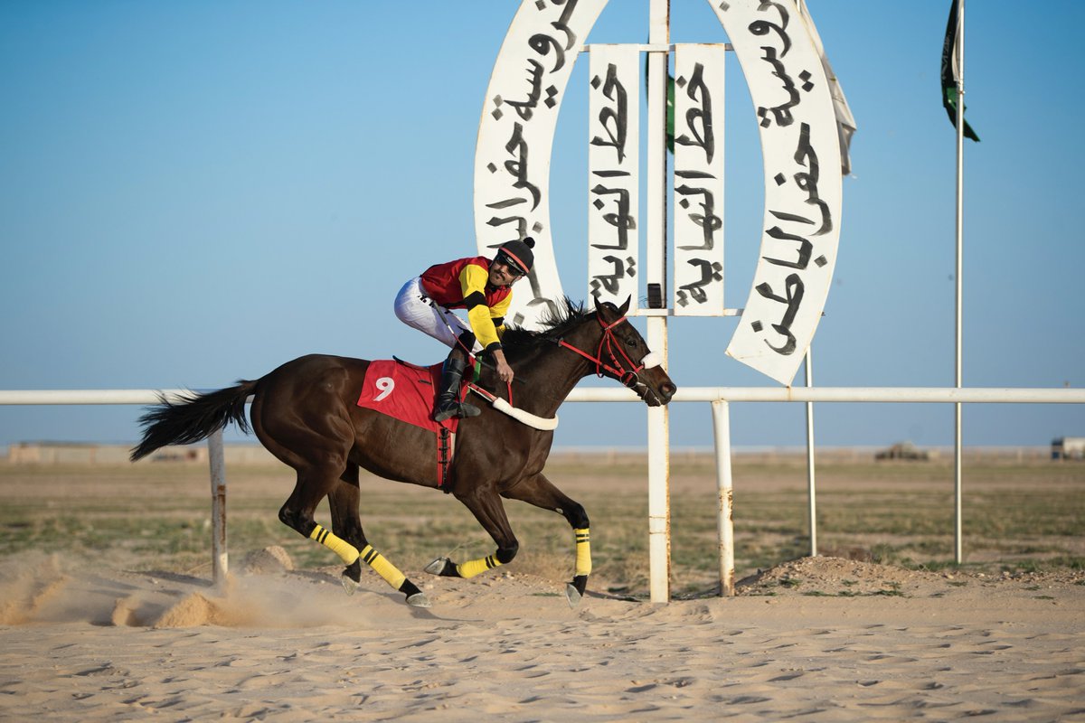 ميدان فروسية حفر الباطن tweet media