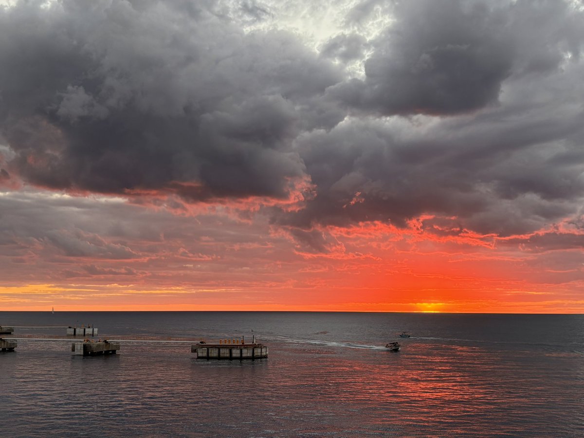 onescoupaday tweet media